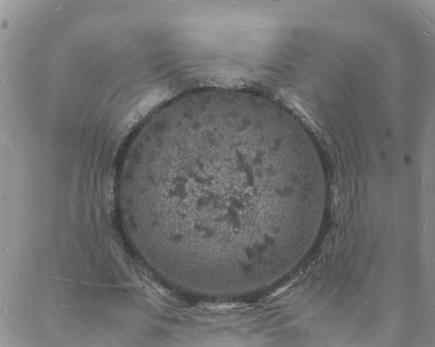 X0000088030679200705182026