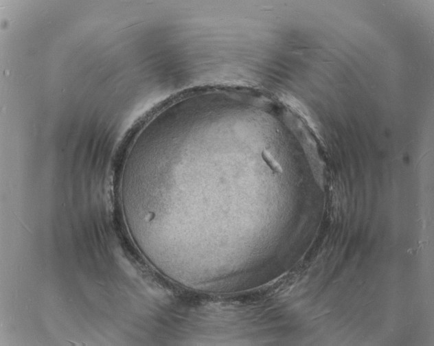 X0000088030680200705182026