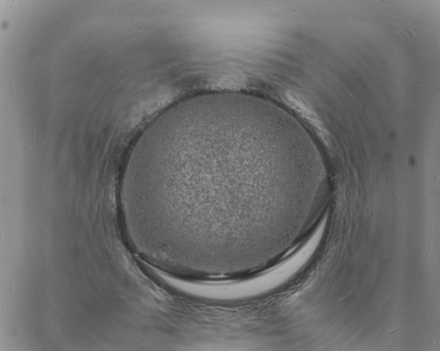 X0000088030681200705182026