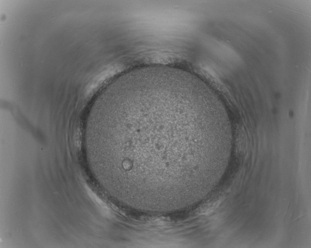 X0000088030683200705182026