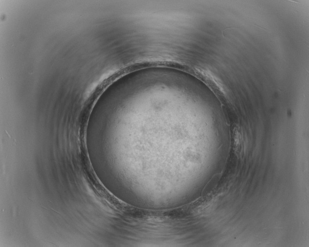 X0000088030684200705182026