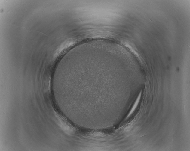 X0000088030685200705182026