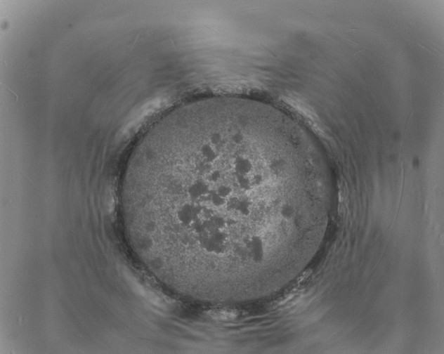 X0000088030687200705182026