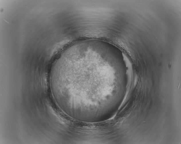 X0000088030688200705182026