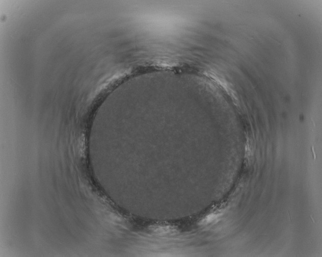 X0000088030689200705182026