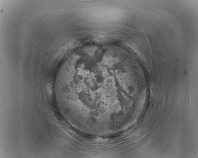 X0000088030691200705182026