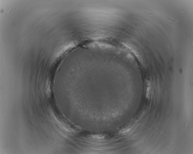 X0000088030692200705182026