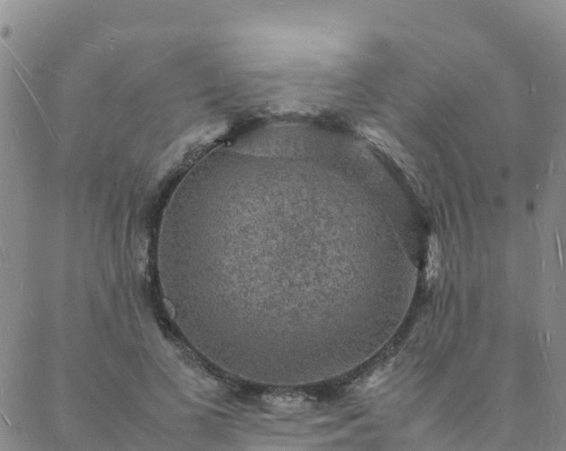 X0000088030693200705182026