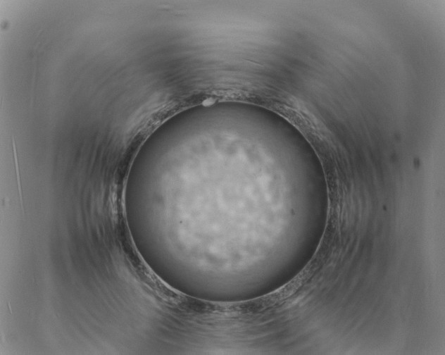 X0000088030696200705182026