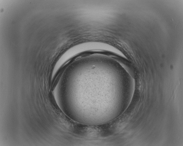 X0000088030697200705182026