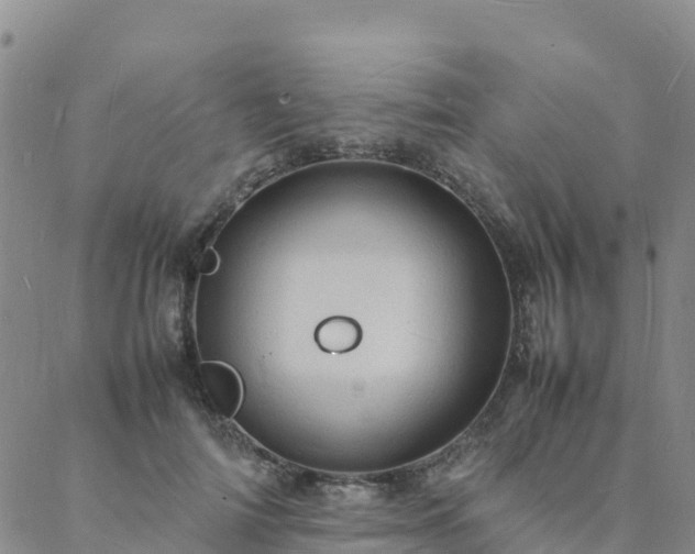 X0000088030698200705182026