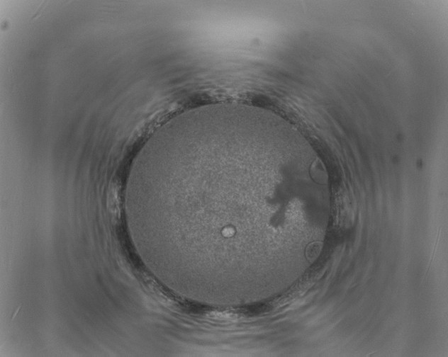 X0000088030699200705182026