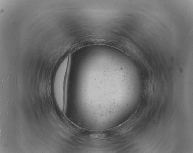 X0000088030700200705182026