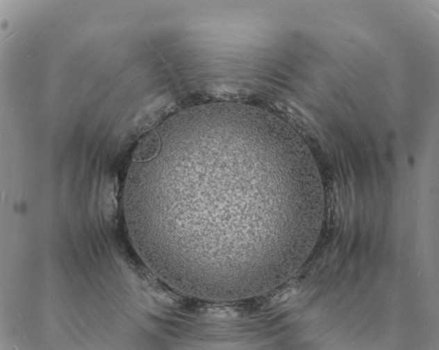 X0000088030702200705182026