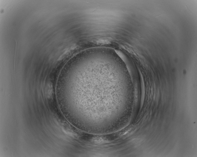 X0000088030704200705182025