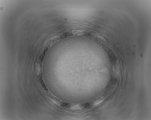 X0000088030705200705182025