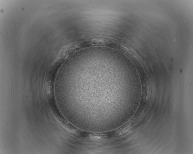 X0000088030706200705182025