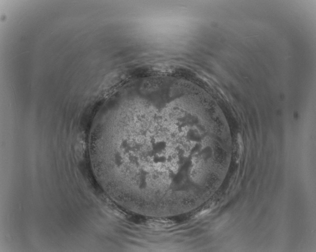 X0000088030707200705182025