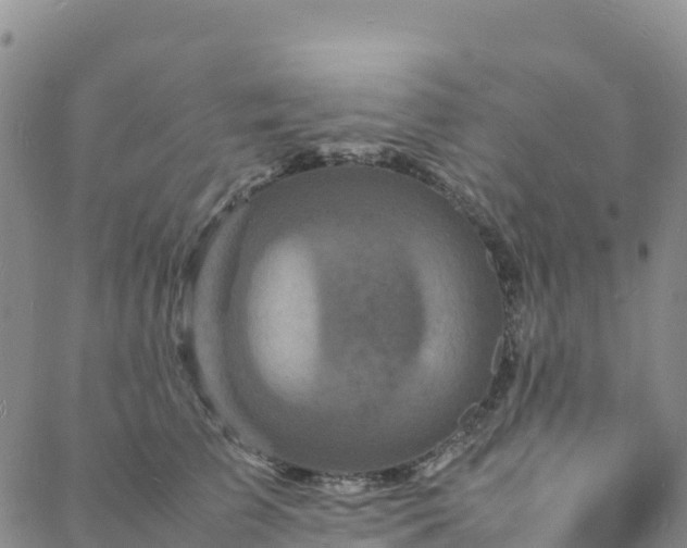 X0000088030709200705182025