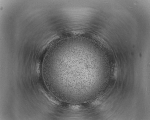 X0000088030710200705182025