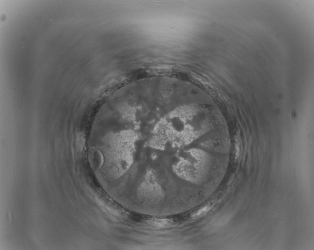 X0000088030711200705182025