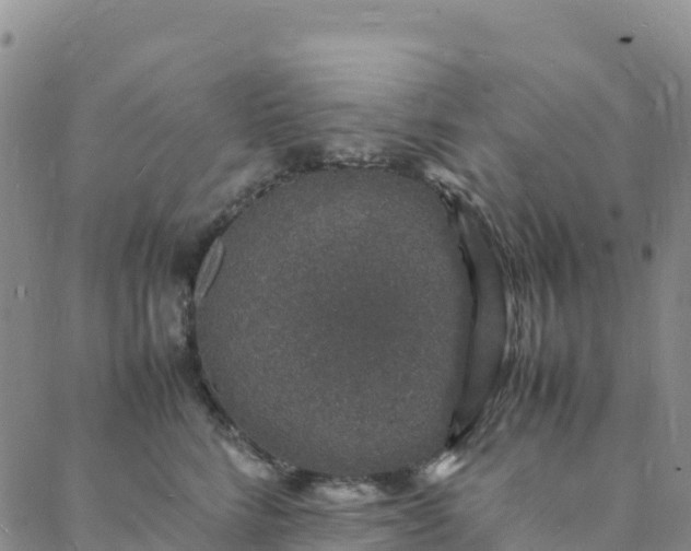 X0000088030712200705182025