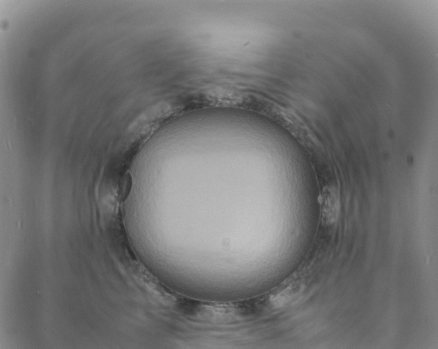 X0000088030713200705182025