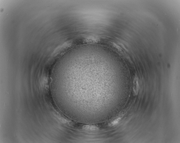 X0000088030714200705182025