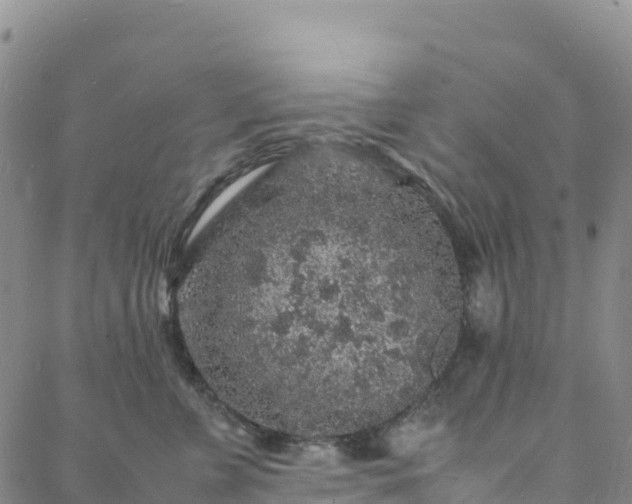 X0000088030715200705182025