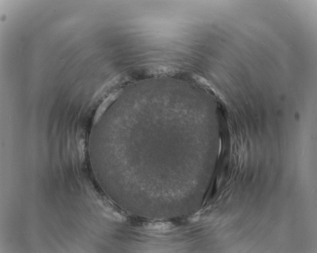 X0000088030716200705182025