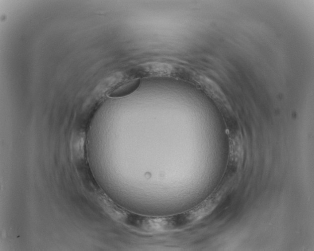 X0000088030717200705182025