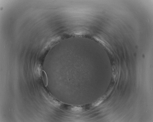 X0000088030718200705182025