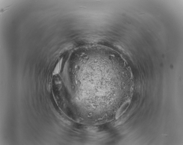 X0000088030719200705182025