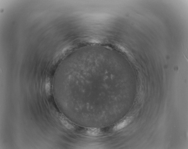 X0000088030720200705182025