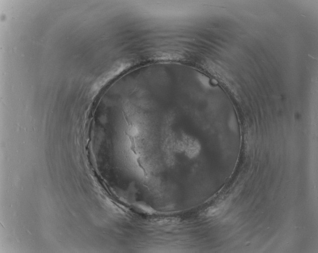 X0000088030721200705182024