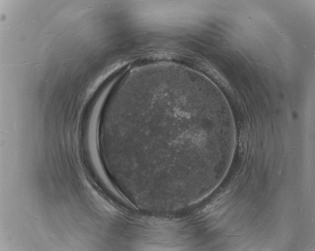 X0000088030722200705182024