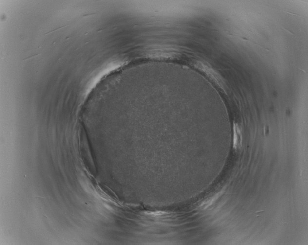 X0000088030723200705182024