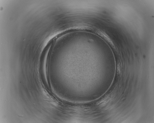 X0000088030724200705182024