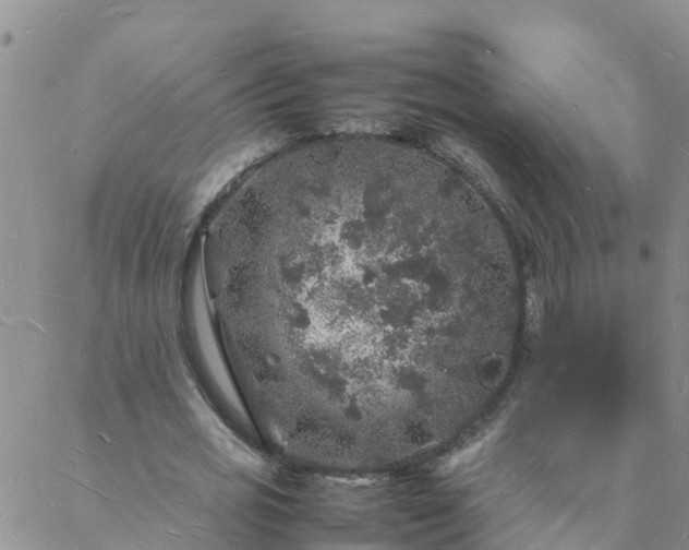 X0000088030725200705182025