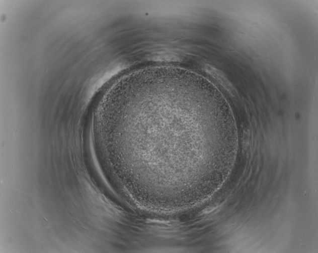 X0000088030727200705182025