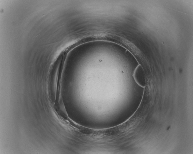 X0000088030728200705182025