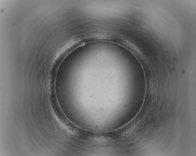 X0000088030730200705182025