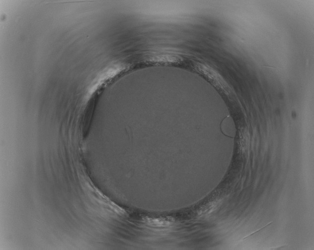 X0000088030731200705182025