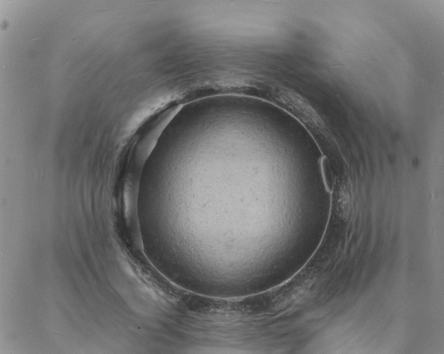 X0000088030732200705182025