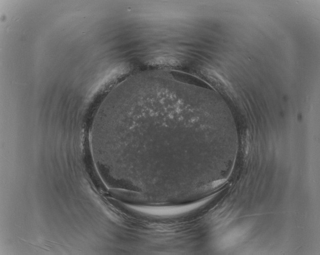 X0000088030735200705182025