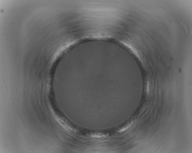 X0000088030736200705182025