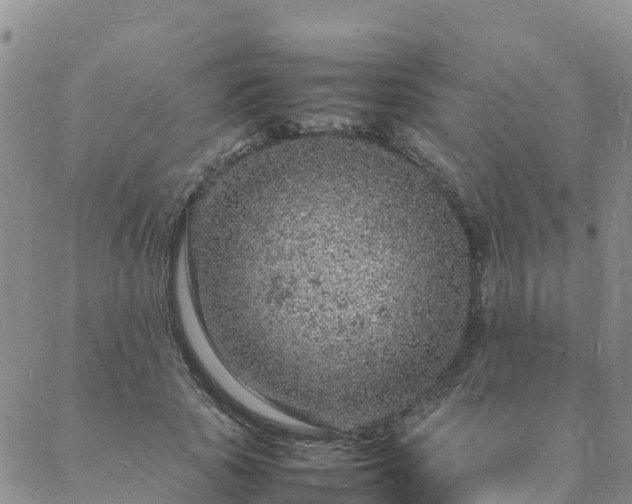 X0000088030737200705182025