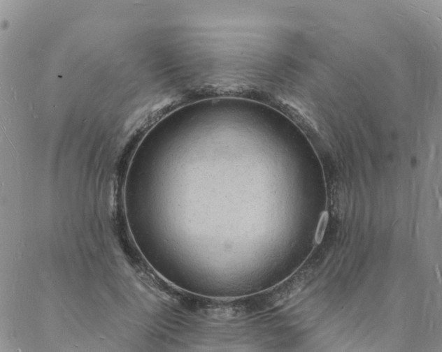 X0000088030740200705182025