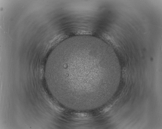 X0000088030741200705182025