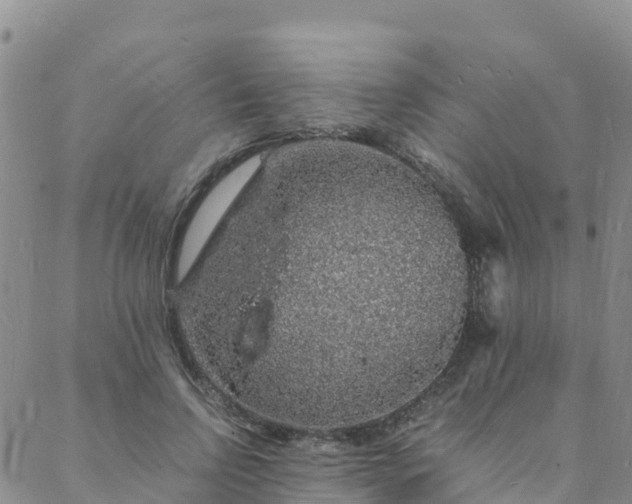 X0000088030742200705182025